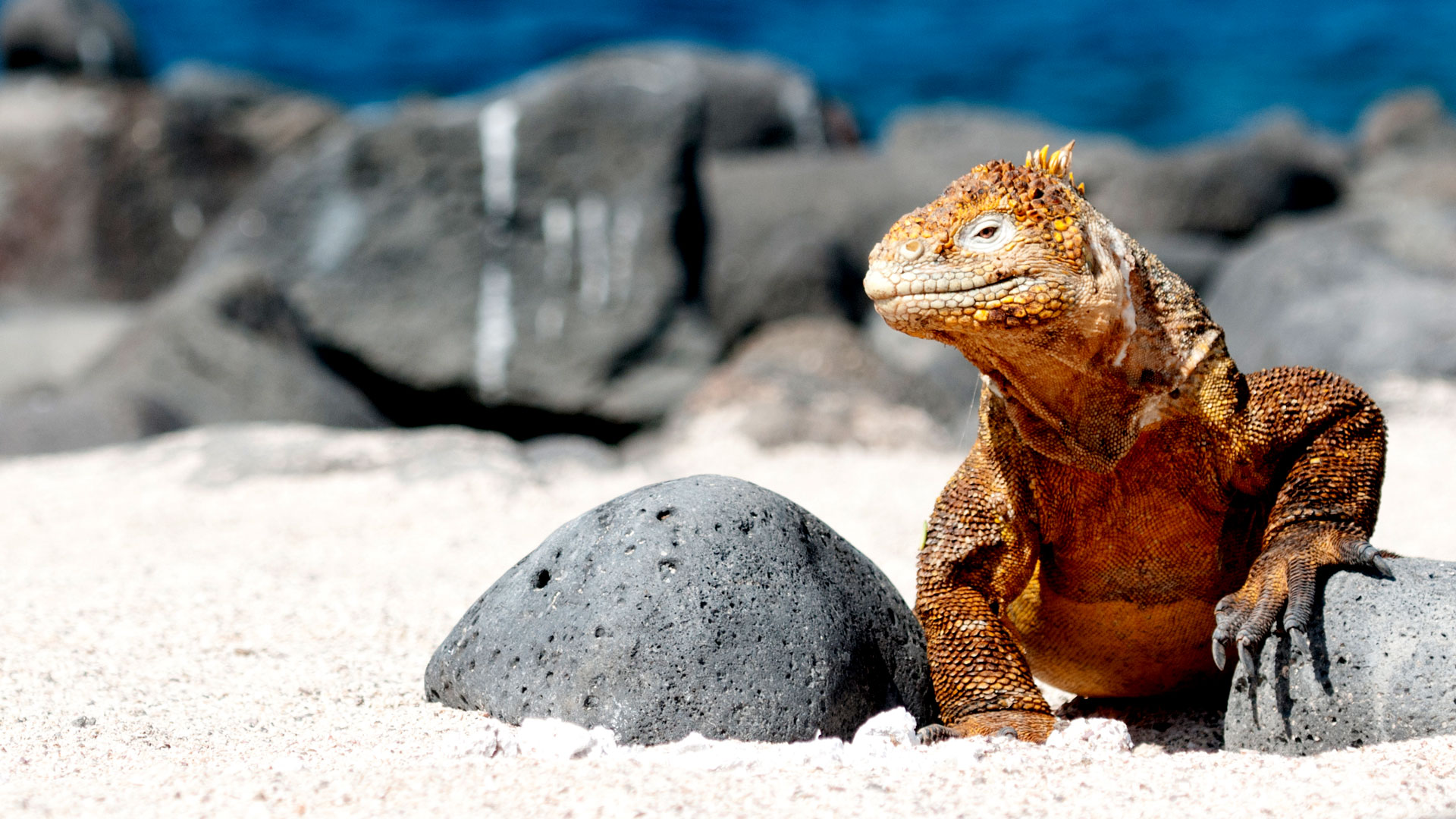 Best Ecuador Tours
