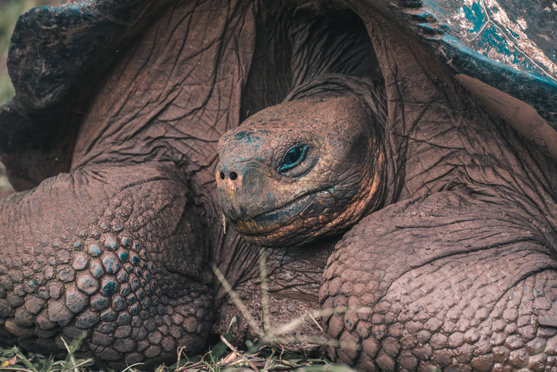Islas Galapagos