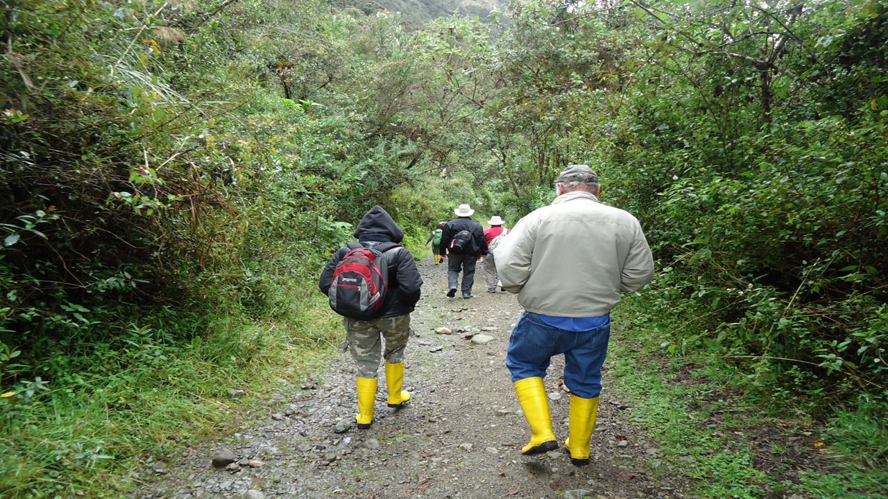 Excursion To Cajas National Park foto 4