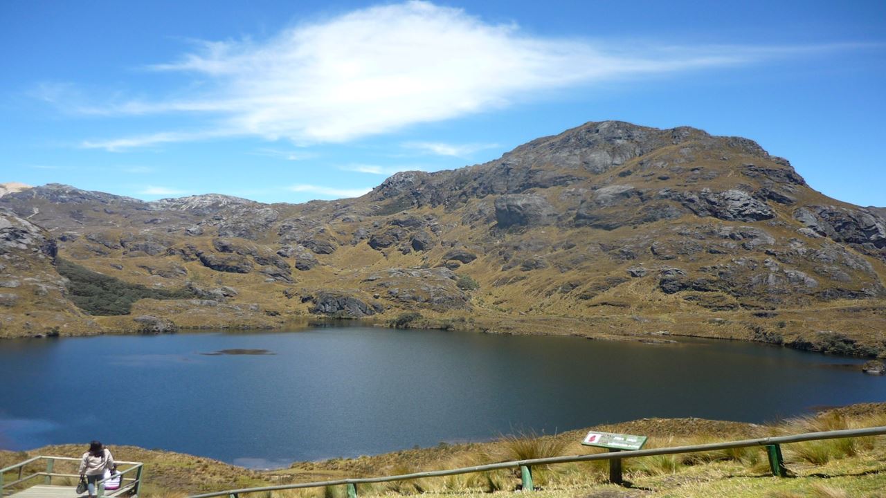 Excursion To Cajas National Park foto 1