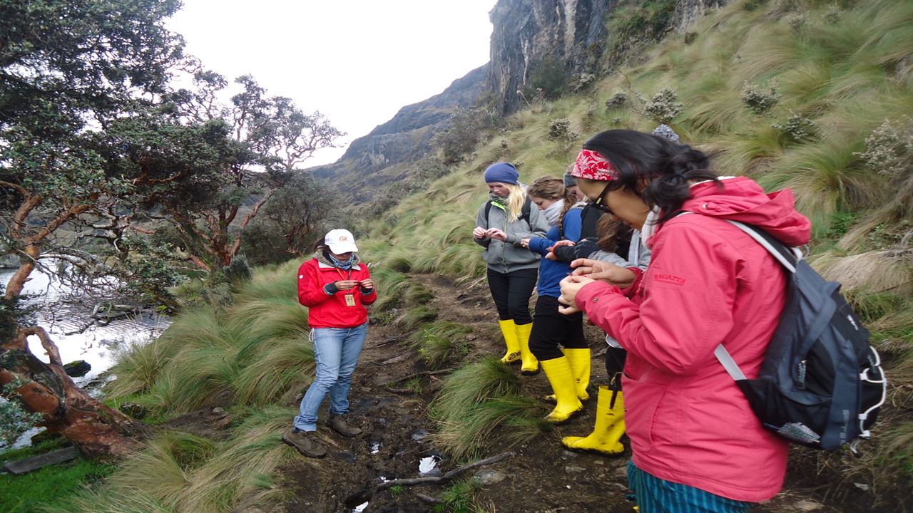 Excursion To Cajas National Park foto 6