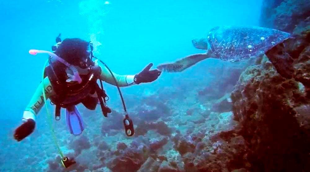 Machalilla: Snorkel, Kayak, Observación De Aves Y Buceo Inicial foto 5