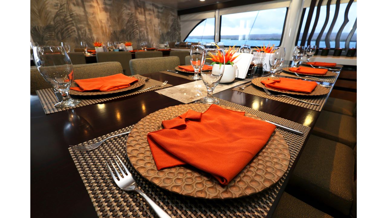 Unforgettable Galapagos: Premium Expedition By Cruise - 5 Days foto 11
