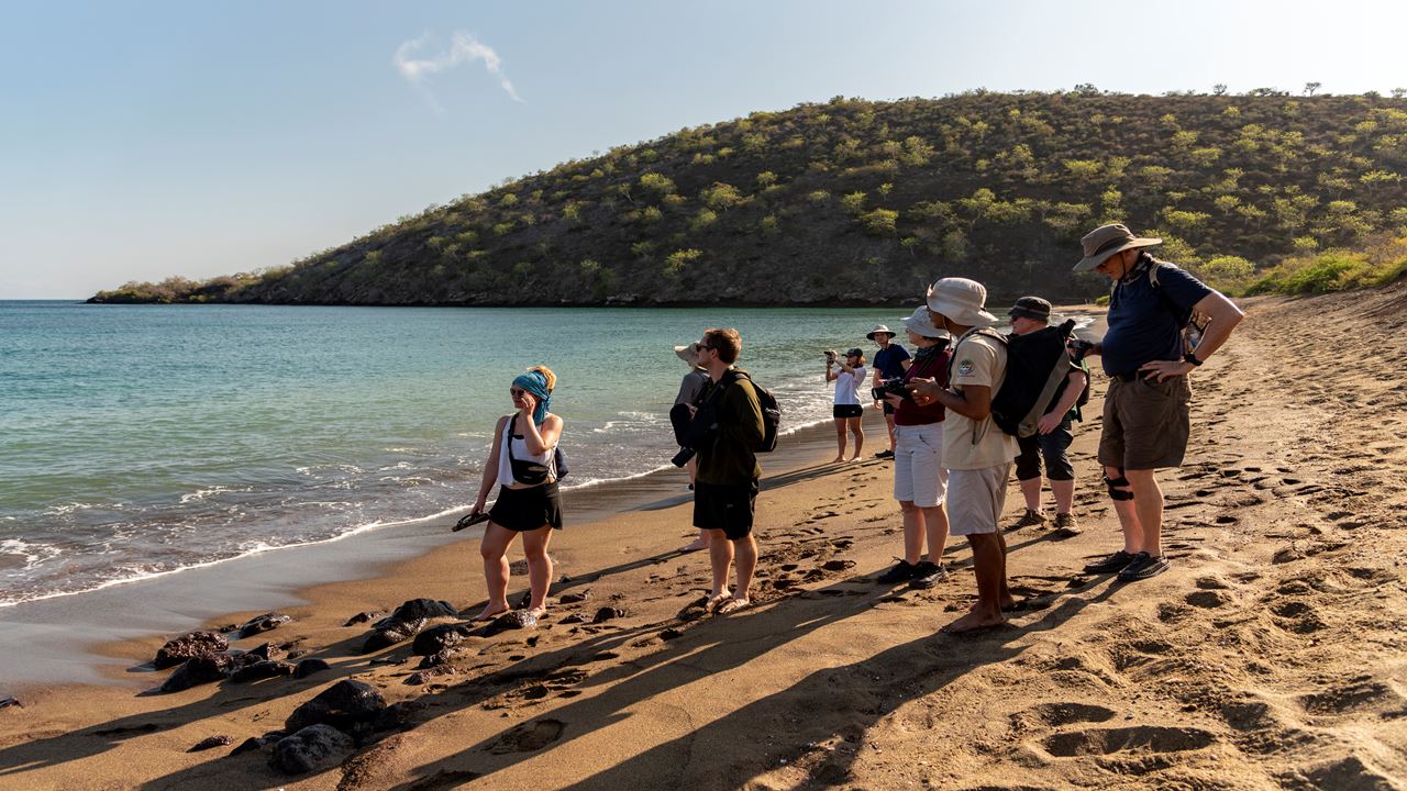 Classic Wild Galapagos Cruise 5d/4n foto 4