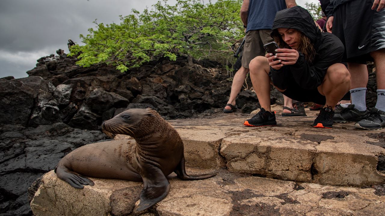 Classic Wild Galapagos Cruise 5d/4n foto 2
