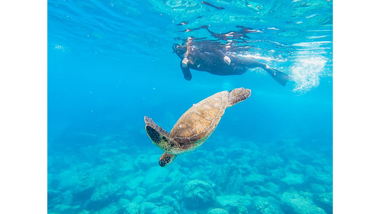 Classic Wild Galapagos Cruise 5d/4n foto 9