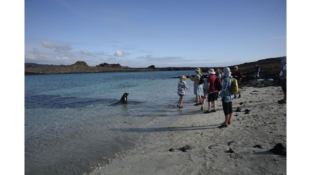 Luxury Galapagos Cruise 6 Days – Bartolomeu And Genovesa foto 5