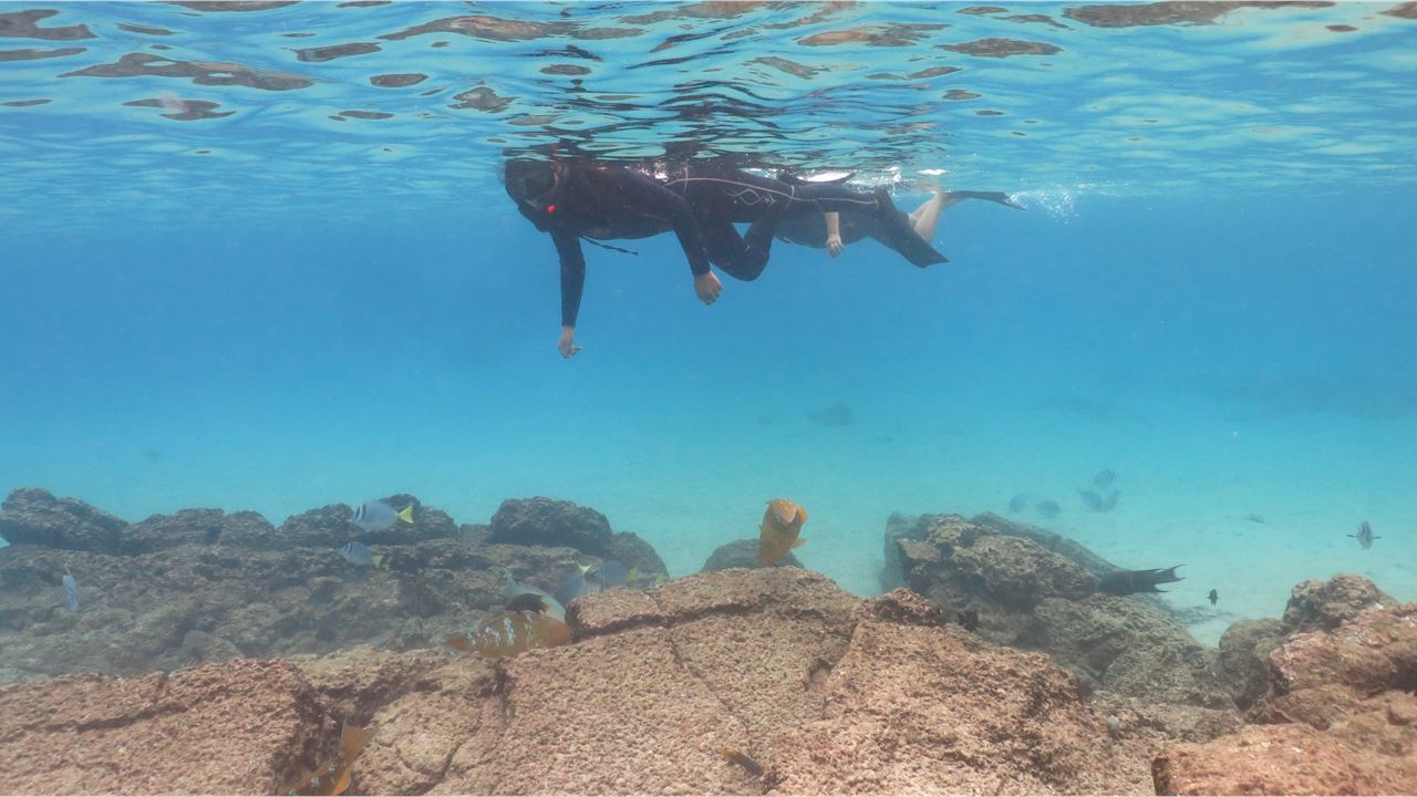 Luxury Galapagos Cruise 6 Days – Bartolomeu And Genovesa foto 6