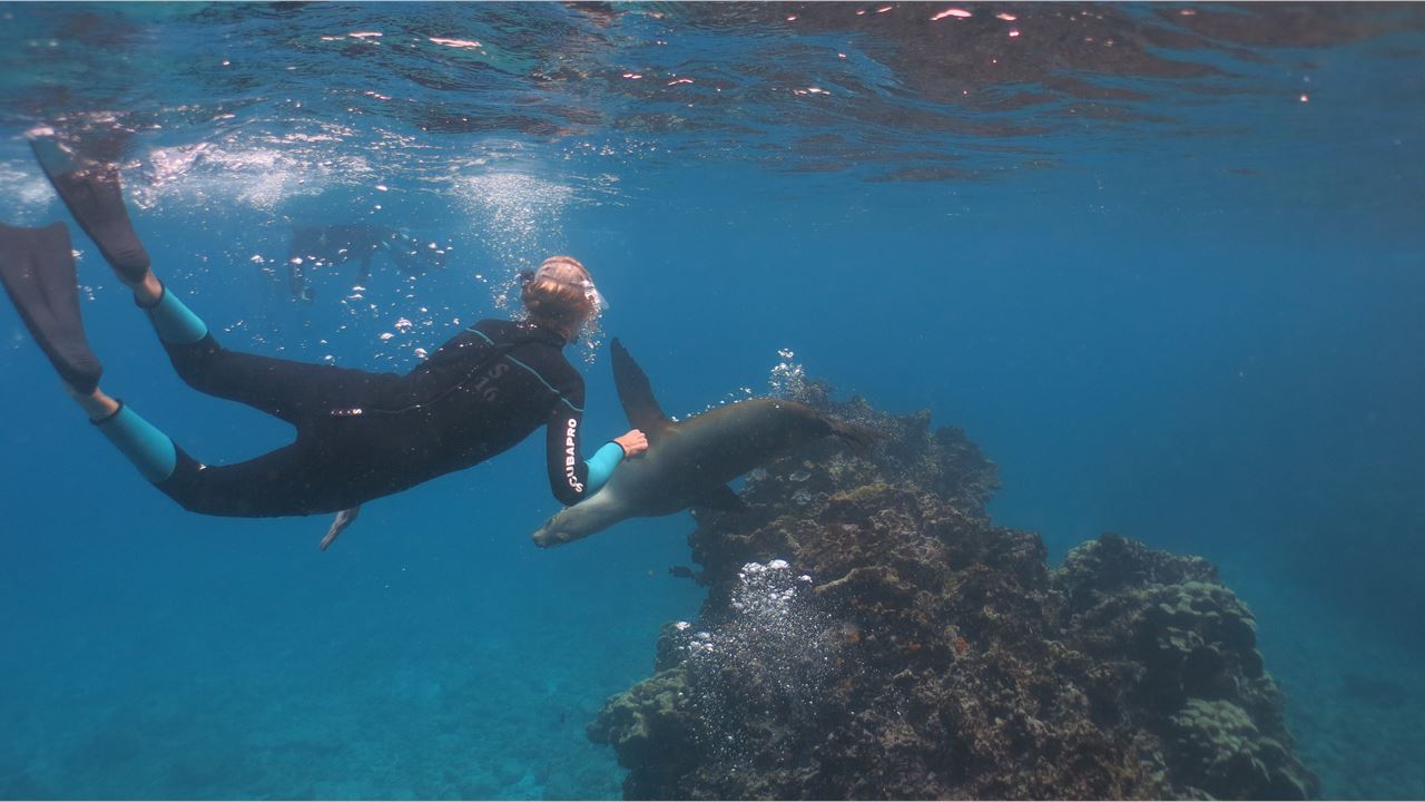 Galapagos Essentials Cruise: Wildlife And Nature In 4 Days foto 2