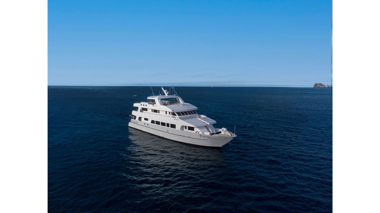 Galapagos Essentials Cruise: Wildlife And Nature In 4 Days foto 8