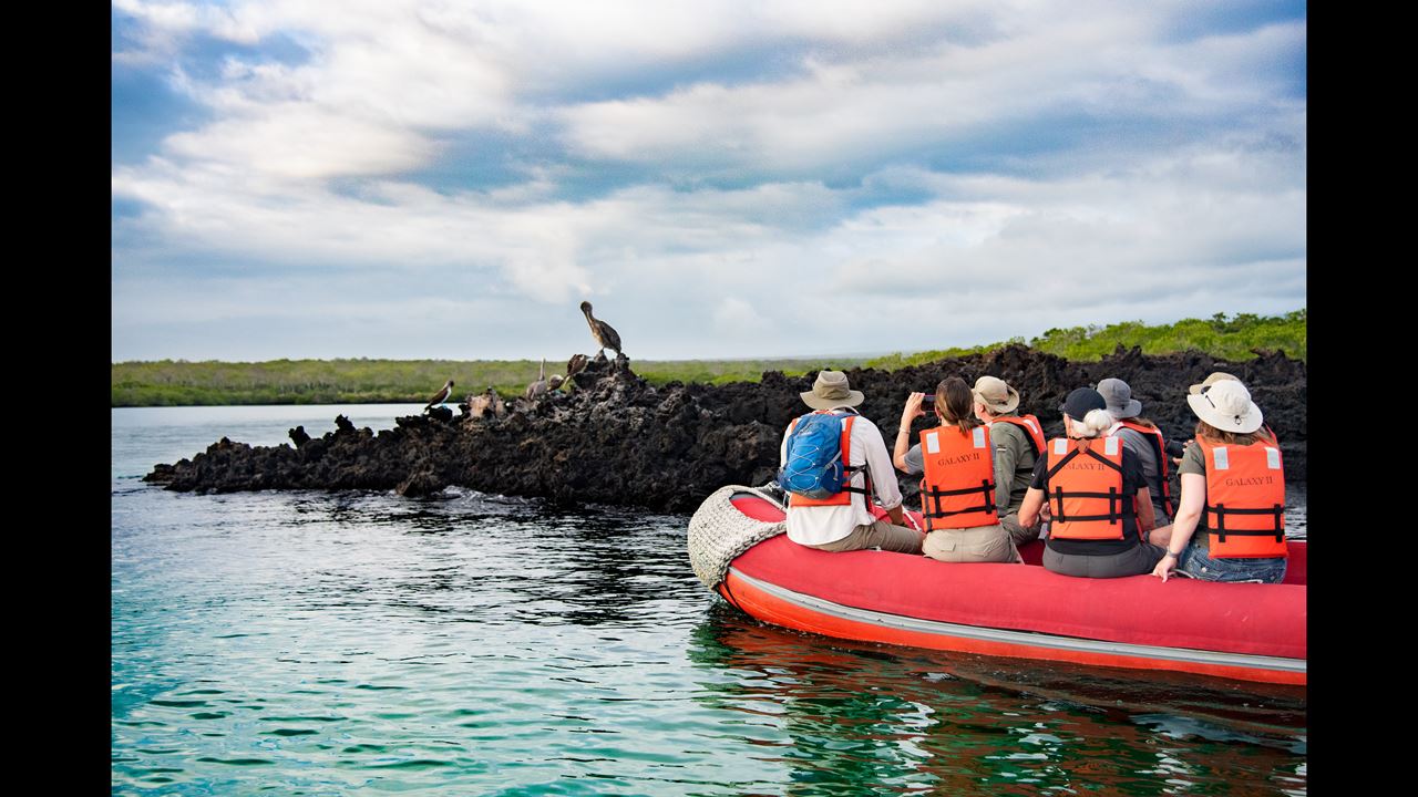 Grande Expedição Às Ilhas Galápagos: 8 Dias De Vida Selvagem E Natureza foto 3