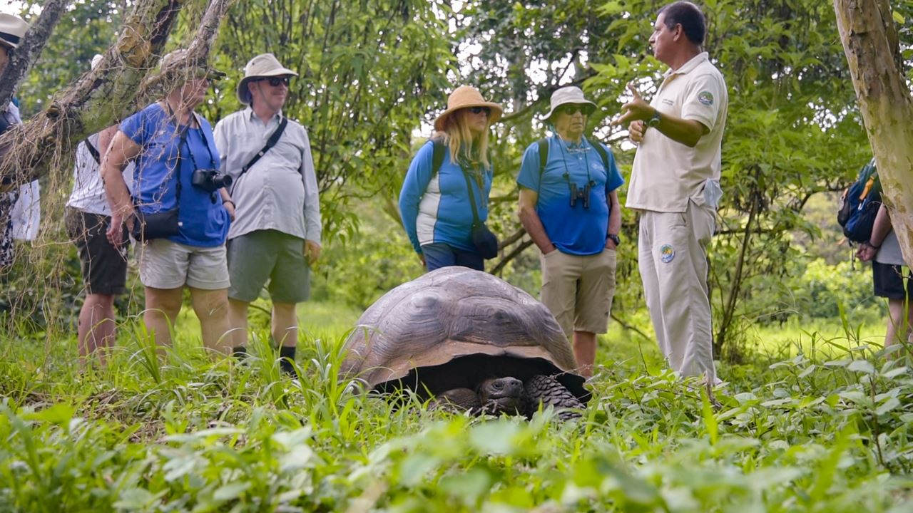 Grande Expedição Às Ilhas Galápagos: 8 Dias De Vida Selvagem E Natureza foto 4