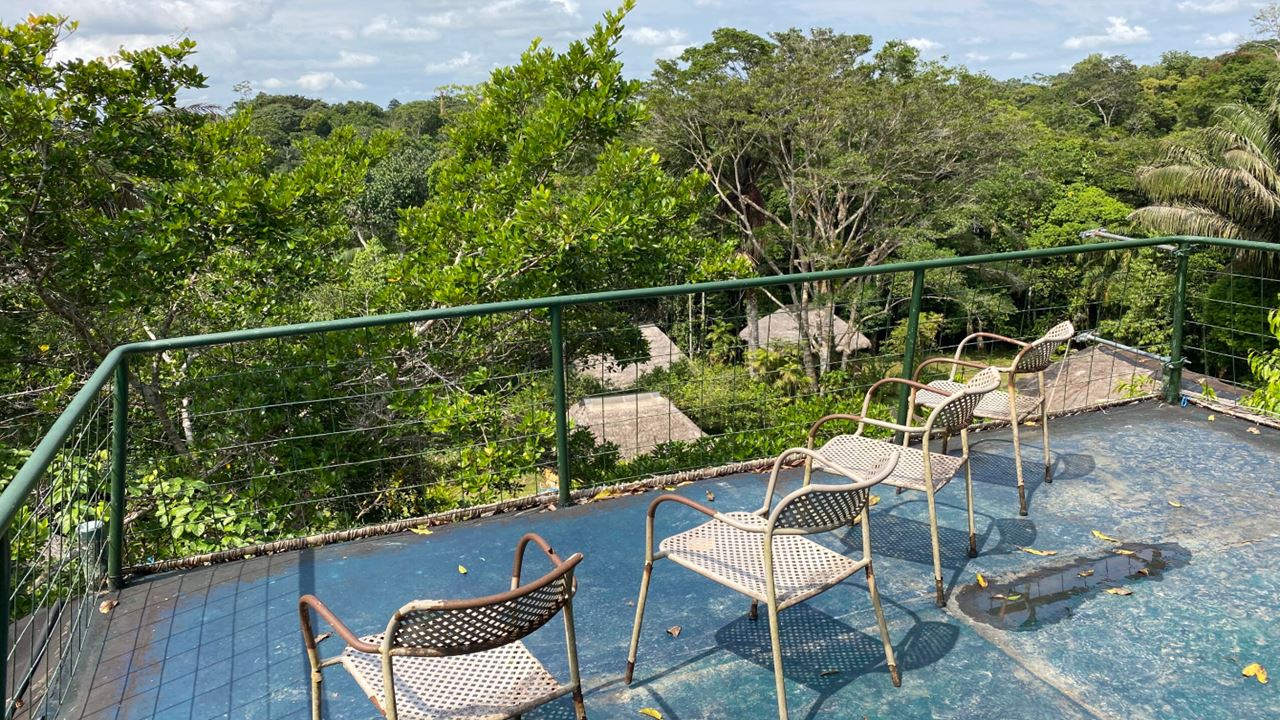 Séjour Au Cuyabeno Lodge foto 7