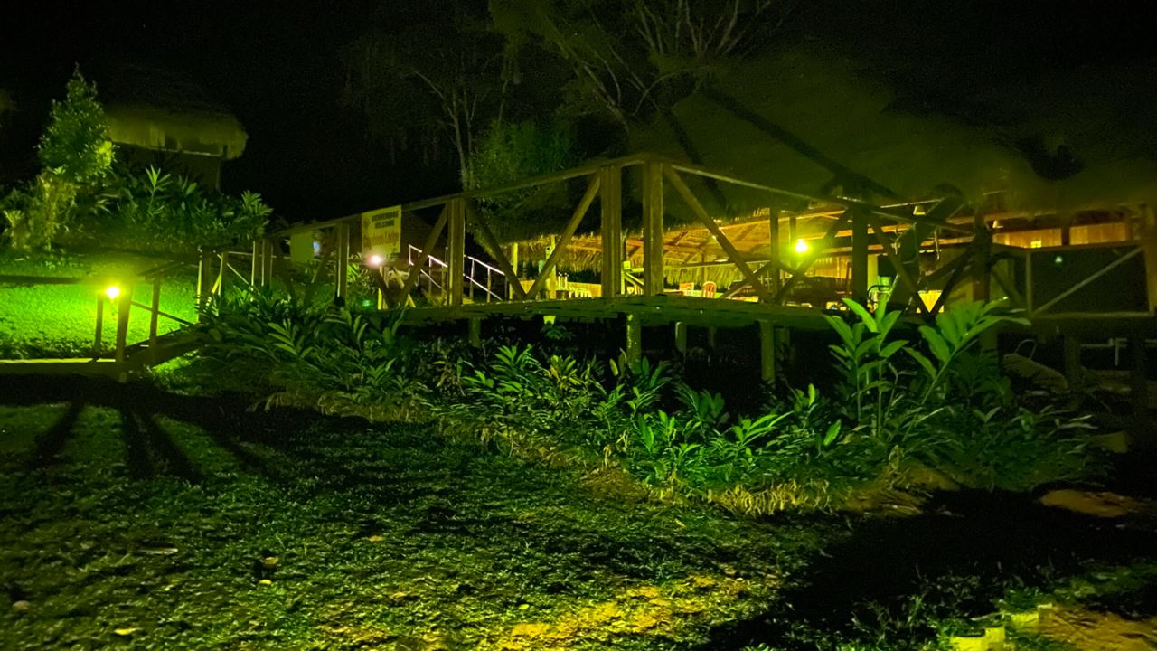 Séjour Au Cuyabeno Lodge foto 4