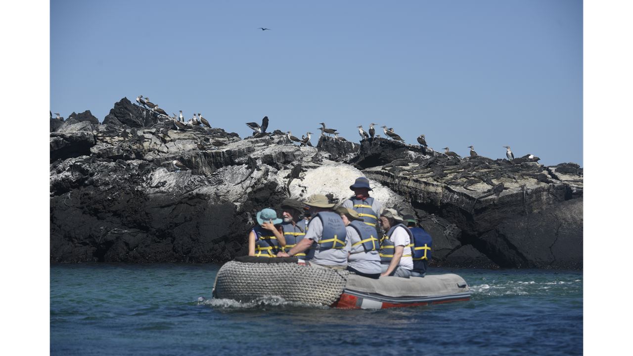 Cruzeiro De 5 Dias Pelas Ilhas Galápagos – Bartolomé, Genovesa E Vida Selvagem foto 6