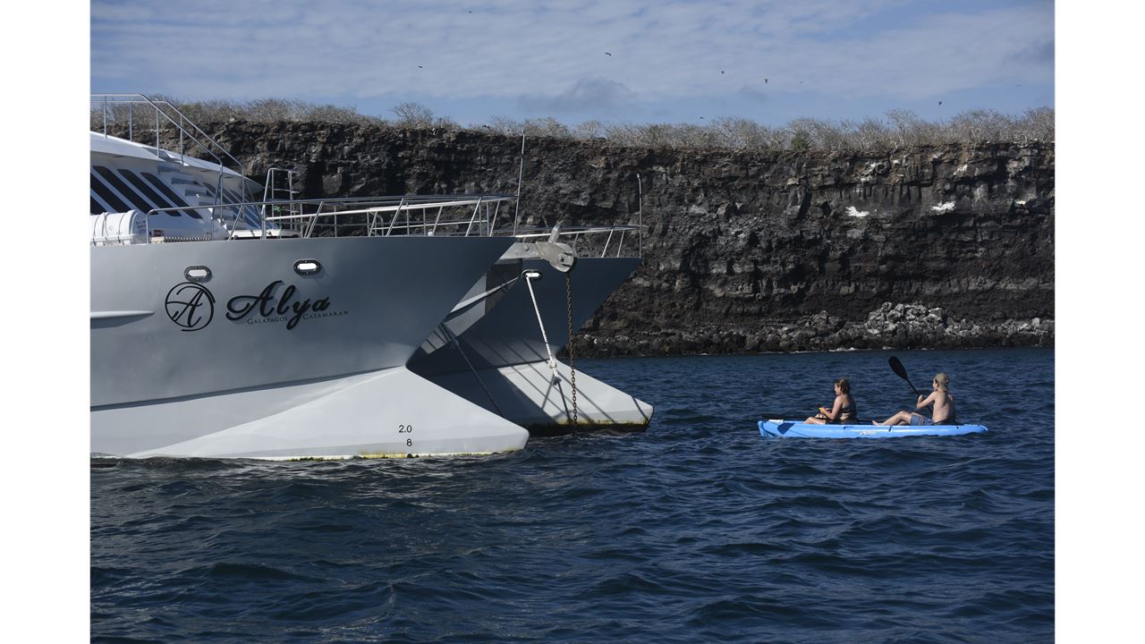 Cruzeiro De 5 Dias Pelas Ilhas Galápagos – Bartolomé, Genovesa E Vida Selvagem foto 2