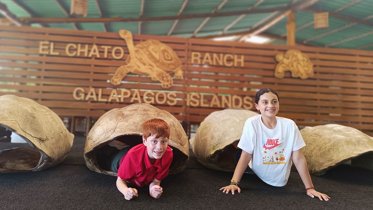 De Baltra À Puerto Ayora : Transfert Avec Turtle Ranch Et Lava Tunnels foto 6