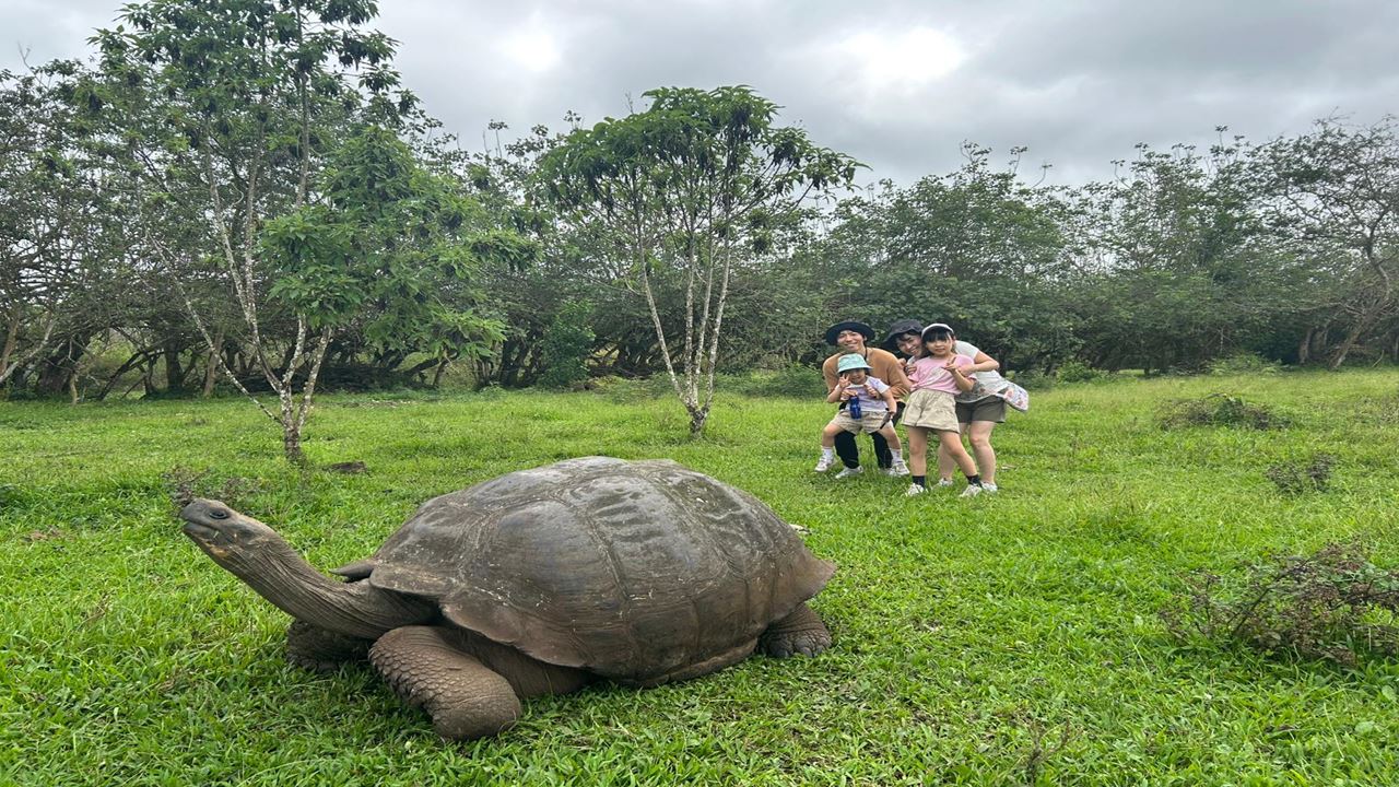 Upper Santa Cruz: Giant Turtles, Lava Tunnels And The Twins foto 1