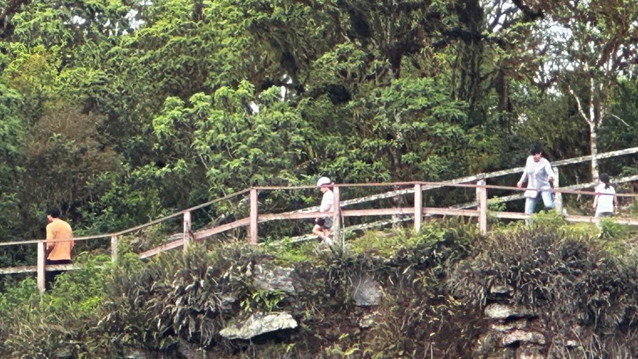 Upper Santa Cruz: Giant Turtles, Lava Tunnels And The Twins foto 7