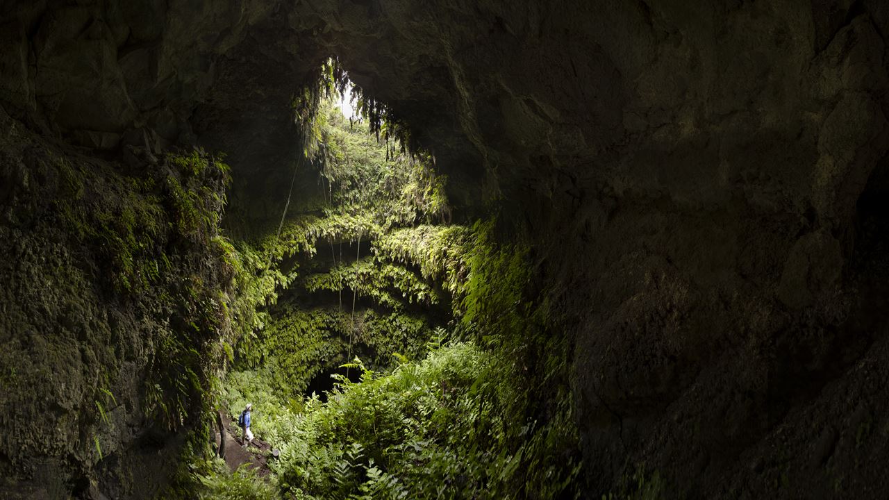 Upper Santa Cruz: Giant Turtles, Lava Tunnels And The Twins foto 8