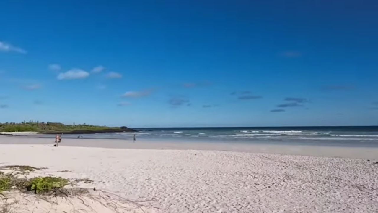 Scenic Walk To Tortuga Bay Beach foto 7