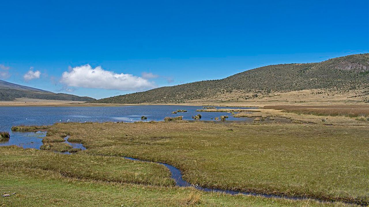 Cotopaxi: Exploring The Volcano Of The Andes foto 2