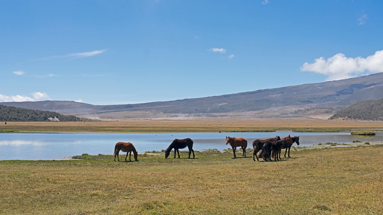 Cotopaxi: Exploring The Volcano Of The Andes foto 4