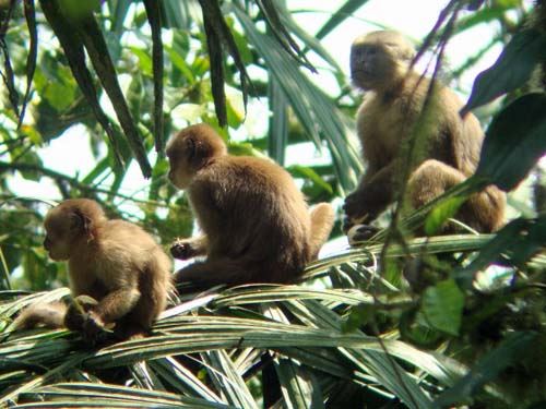 Tour In San Sebastian Wet Forest foto 5