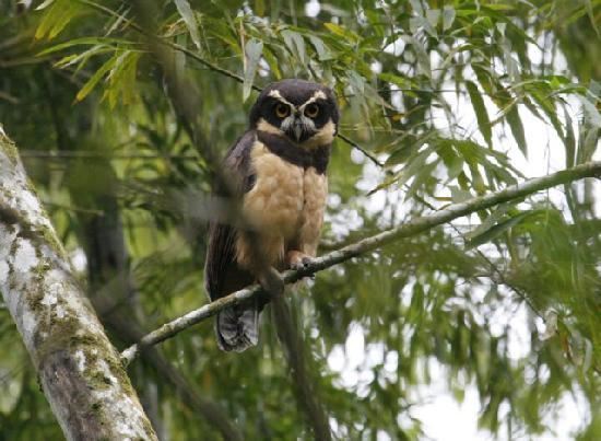 Tour In San Sebastian Wet Forest foto 4