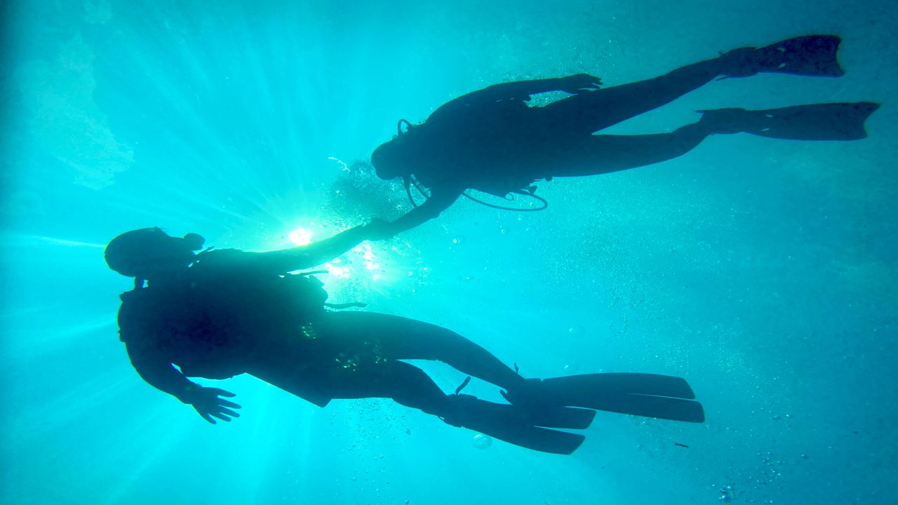 Scuba Diving Tour In Machalilla: Marine Life And Crystal Clear Waters foto 3