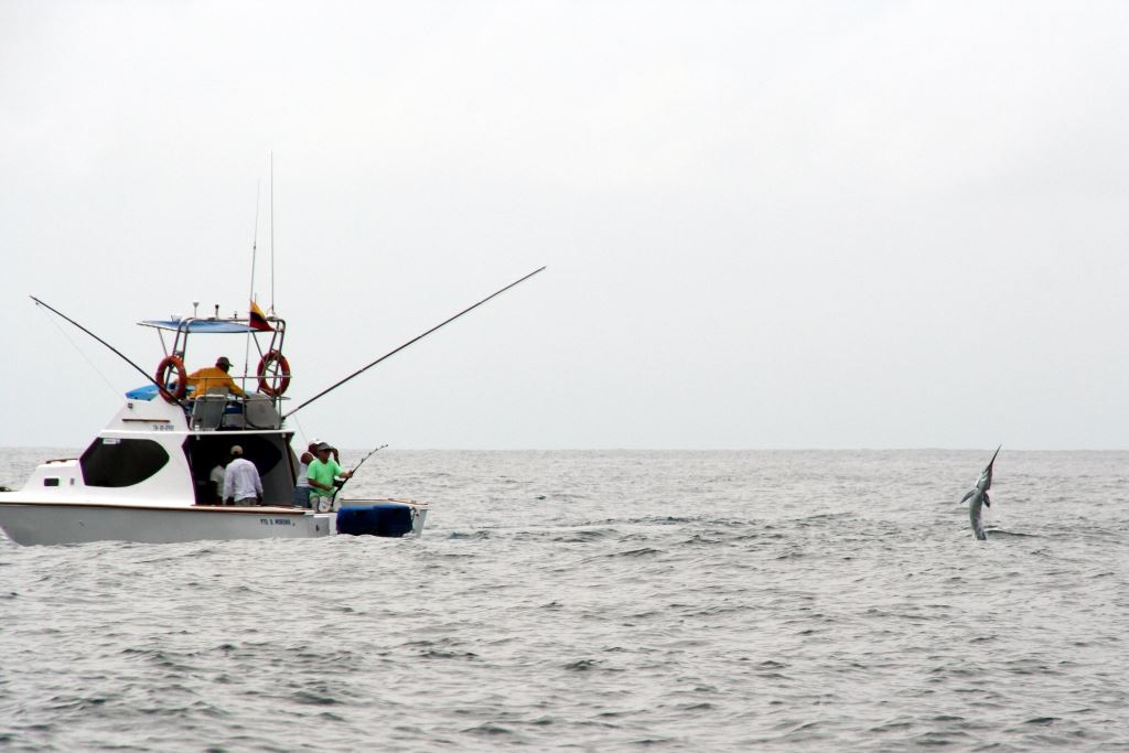 Tour De Pesca Dia Completo foto 2