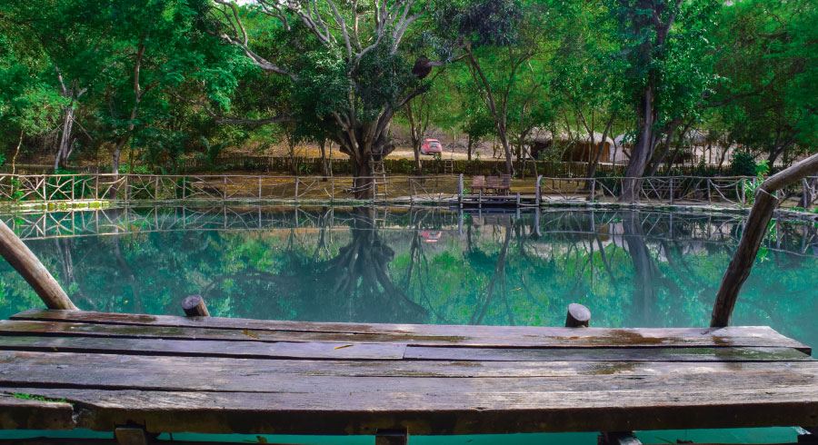 Bike Tour To Los Frailes Beach And White Water foto 3