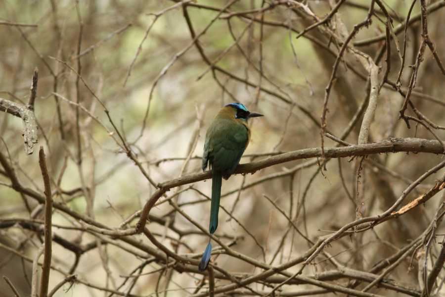 Bike Tour To Los Frailes Beach And White Water foto 4