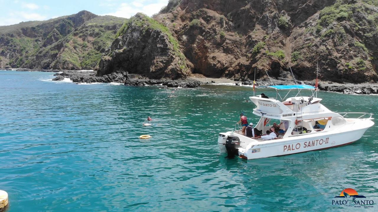 Silver Island Tour, Snorkeling And Whale Watching - Machalilla National Park foto 8