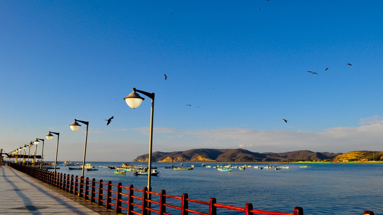 Silver Island Tour, Snorkeling And Whale Watching - Machalilla National Park foto 7