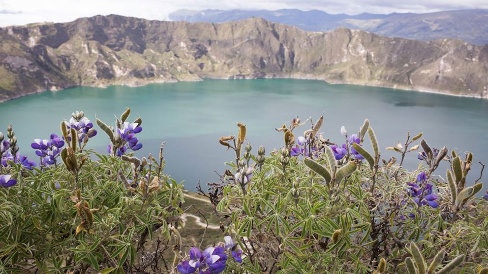 Quilotoa Lagoon Tour foto 3
