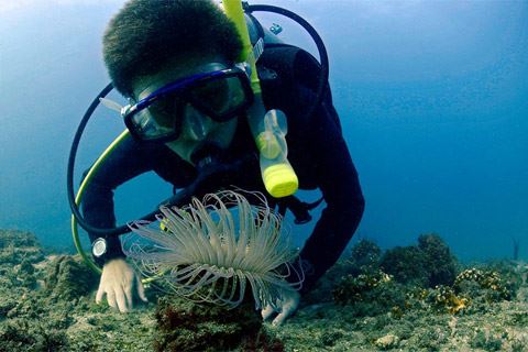 Machalilla: Snorkel, Kayak, Observación De Aves Y Buceo Inicial