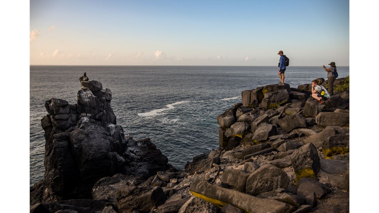 Classic Wild Galapagos Cruise 5d/4n